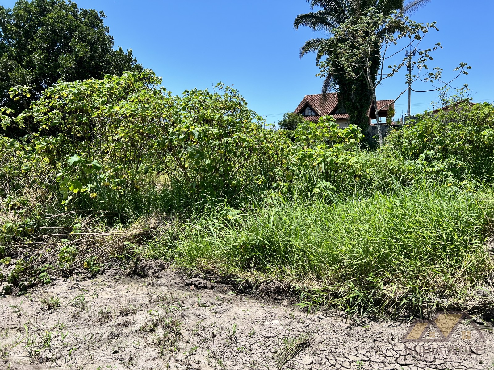 Terreno para venda em Peruíbe